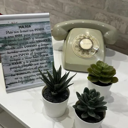 Apartamento Premium La Biznaga Málaga